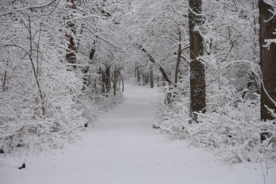 白天穿着红色夹克在积雪覆盖的地面上行走的人